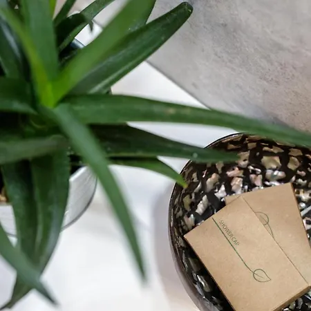 לינה וארוחת בוקר Mincio Relais