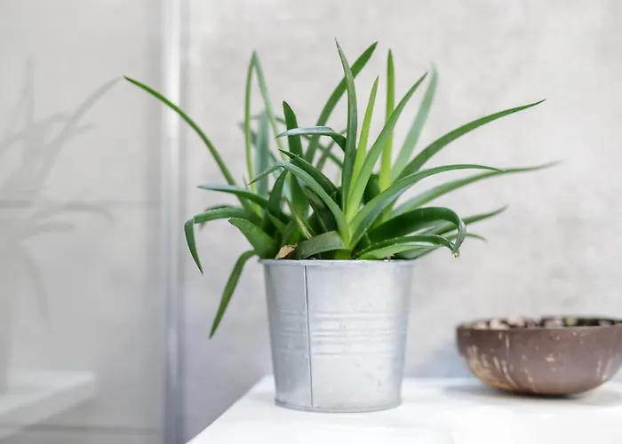 Mincio Relais Bed and breakfast