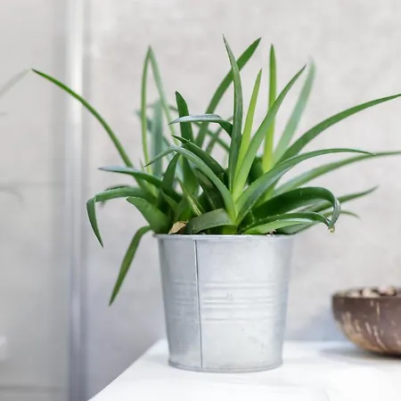 Mincio Relais Bed & Breakfast